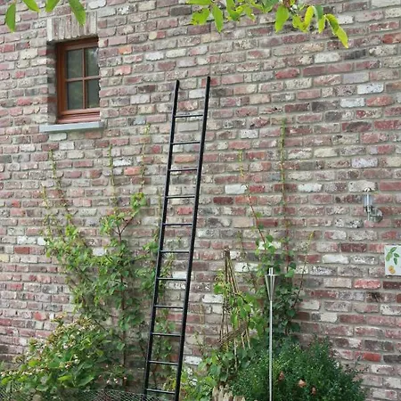 A L'ombre Du Noyer Oda ve Kahvaltı Fernelmont