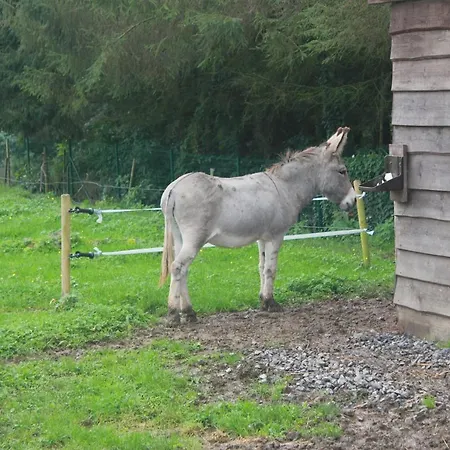 Oda ve Kahvaltı A L'ombre Du Noyer 3*