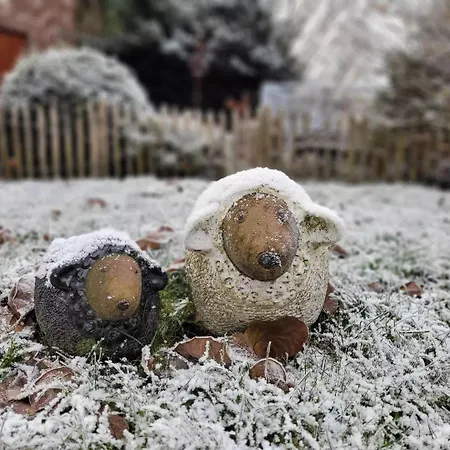 A L'ombre Du Noyer Oda ve Kahvaltı Fernelmont