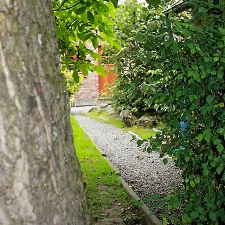 A L'ombre Du Noyer B&B Fernelmont